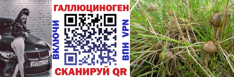 Галлюциногенные грибы MAGIC MUSHROOMS Кашин