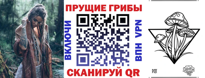 Галлюциногенные грибы ЛСД  Кашин 