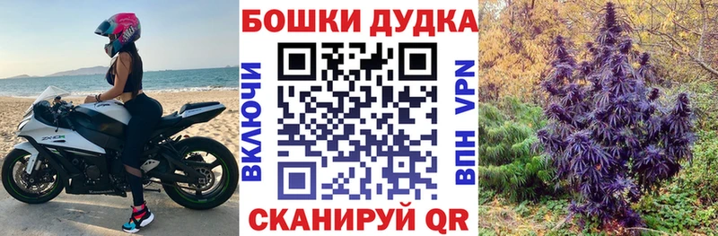 Каннабис конопля  даркнет какой сайт  Кашин  хочу  